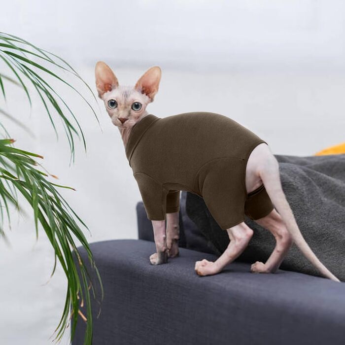 Одяг для котів, пуловер для Sphynx, Cornish Rex, Devon Rex, Peterbal (темно-коричневий, L)