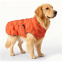 колір: помаранчевий