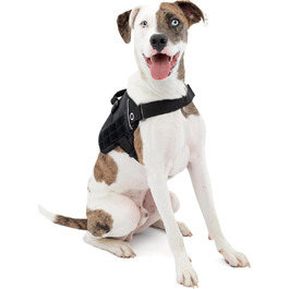 колір: чорний