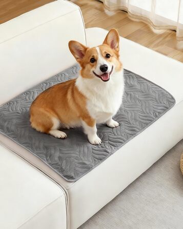 Водонепроникний килимок для собак, захист дивану та авто, килимок для тварин на вулицю, міцний килимок для собак як захист для дивану та ліжка, неслизьке дно - Сірий CTH017G (80 x 60 см)