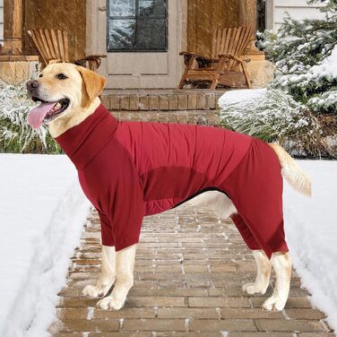 Зимовий теплий одяг для собак: теплий куртка з високим коміром для малих, середніх та великих собак, для прогулянок та альпінізму, сірий, розмір XL (червоний, розмір L)