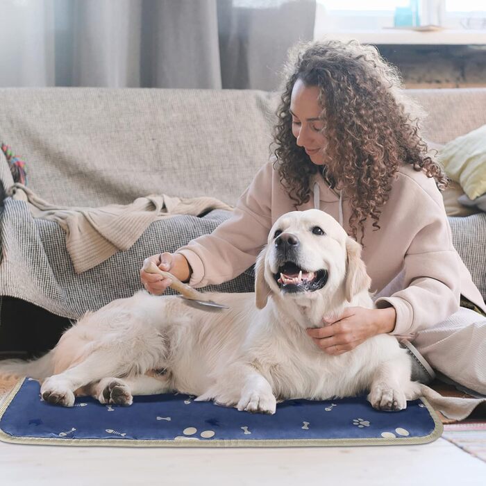 Велике собаче ліжко: зручне, безпечне, водонепроникне, миється, блакитне