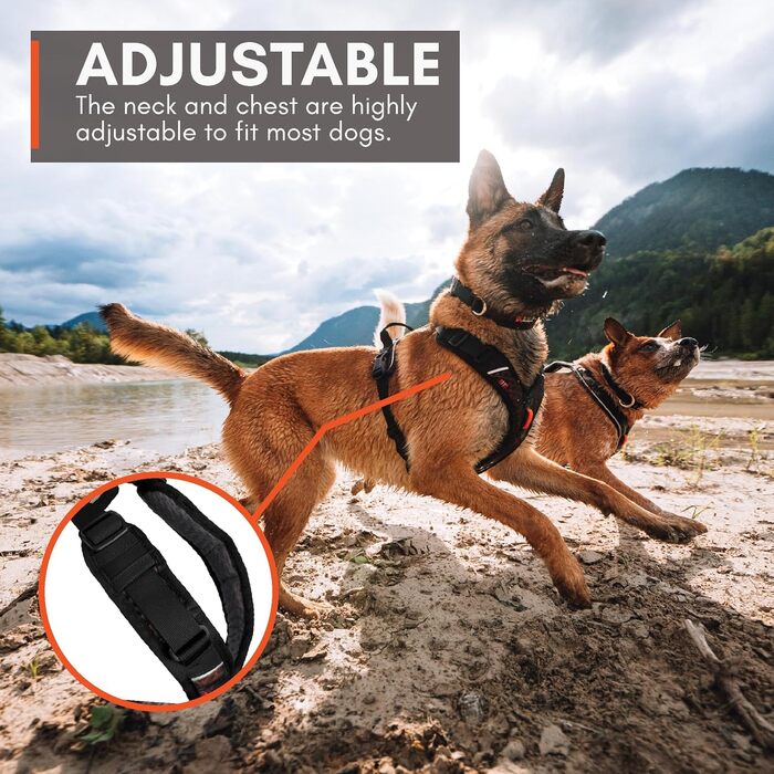 Шлейка для собак Non-Stop Dogwear Rock Harness, розмір M, чорна