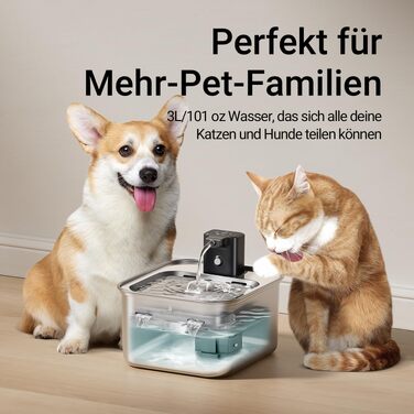 Бездротовий фонтан-поїлка для котів DownyPaws з нержавіючої сталі, 3 л, сріблястий/чорний