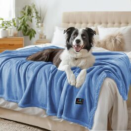 колір: марієлла марієлла, дік