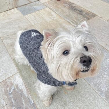 Ліжко для собак United Colors of Benetton, середнього розміру, сіре, 65 см, з поліестеру, ергономічне, для прання в машині