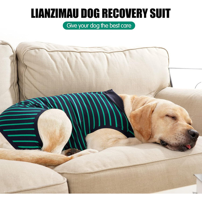 Комбінезон для собак, дихаючий, для захисту післяопераційних ран, альтернатива конусу, без шнура, післяопераційний (XXL, 1 шт., зелений)