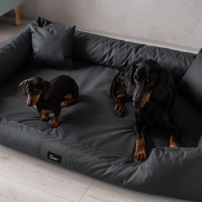 Ортопедичне ліжко для собак Puffi Orto, велике, середнє, маленьке - подушка для собак, килимок для собак з поліестеру - водовідштовхувальне, довговічне, зняття болю, стійке до зношування (XXL+|130x100см, Графіт)