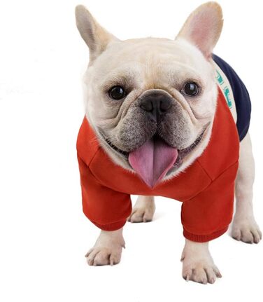 Світшот для Французького Бульдога: теплий костюм для маленьких собак та котів, Патчворк (XXL, Бордовий)
