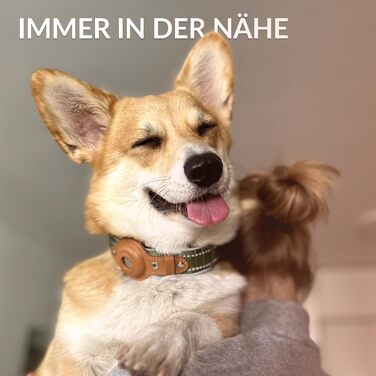 Нашийник для Apple AirTag для собак CollarDirect, світловідбиваючий, чорний, XL (51-61 см)