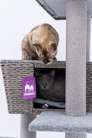 Дряпка для котів Petrebels Caribbean Love 141 см, сіра, натуральний матеріал