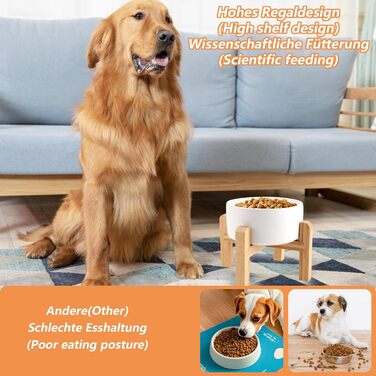 Набір керамічних мисок для собак Oungy 2 шт. з підставкою з бамбука, антиковзаючі, 850 мл, білі. Підходять для собак та котів