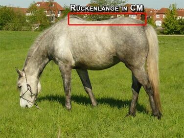 Кінська зимова попона time4horses 1200D з високою горловиною, 300 г, водонепроникна, для стайні та пасовища, 145 см