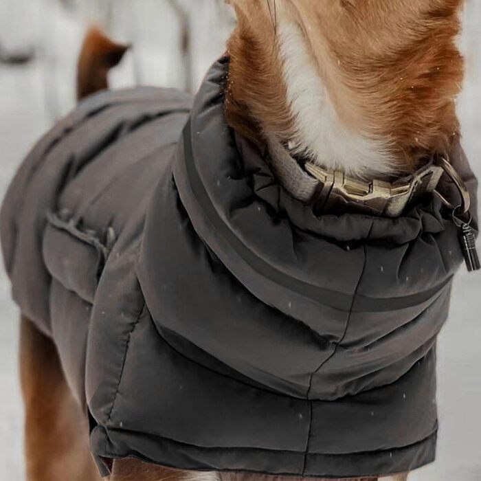 Зимові куртки для собак, тепла зимова куртка для великих собак, одяг для холодної погоди (сірий)