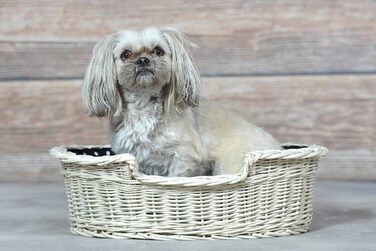 Гніздо для собак з лози e-wicker24 502-60, коричневе, 60x43x19 см (80x60x26 см, бежеве)