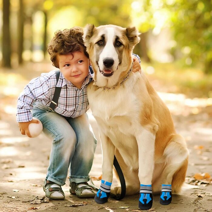 Взуття для собак, 4 шт. Водонепроникні чоботи для собак з антиковзкою підошвою та світловідбиваючим кріпленням, для маленьких, середніх та великих собак (XXL, Синій)