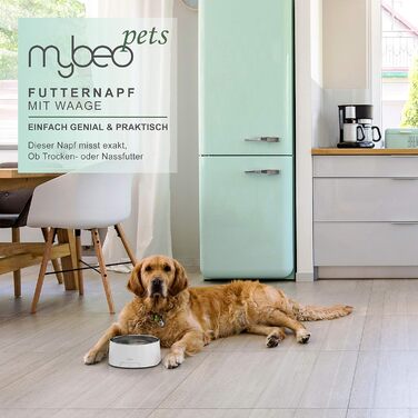 Миска для корму та води з нержавіючої сталі з вбудованими терезами для собак та котів - до 5 кг, знімний об'єм 1000 мл, функція тарування, LCD дисплей, для Барфа, миска для годування