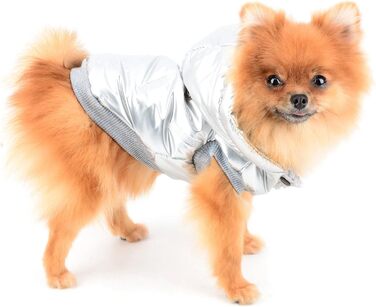 PAIDEFUL Зимовий теплий пуховик для собак - куртка з капюшоном для маленьких собак, чихуахуа, котів. Розмір M, сріблястий колір. Водонепроникний, вітрозахисний. Довжина спини 25 см, обхват грудей 37 см.