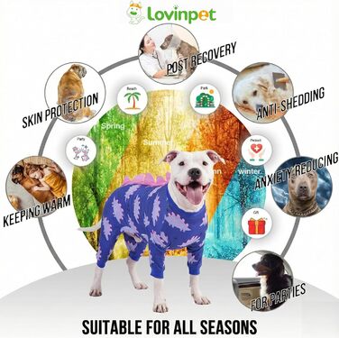 Комбінезон для собак великих порід LovinPet: дихаючий, з UV-захистом, антибактеріальний, для відновлення після операцій, зелено-оранжевий, XXX-Large