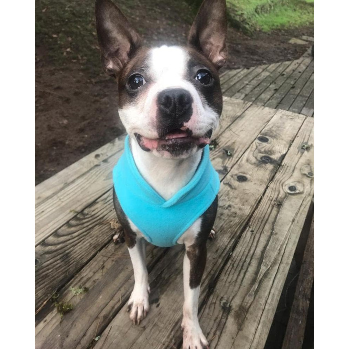 Теплий пуловер Gooby для собак - рожевий, розмір L, флісова жилетка з повідком, зимовий одяг для маленьких собак, унісекс