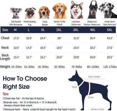 Зелений теплий зимовий пуловер для собак IECOii, великий розмір (XX-Large), для чихуахуа, бульдога, лабрадора