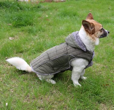 Флісовий худі для собак JoyDaog, теплий плед для цуценят, зелений, розмір S (1 шт.)