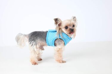 Шлея для собак Puppia Dotty B, м'яка, регульована