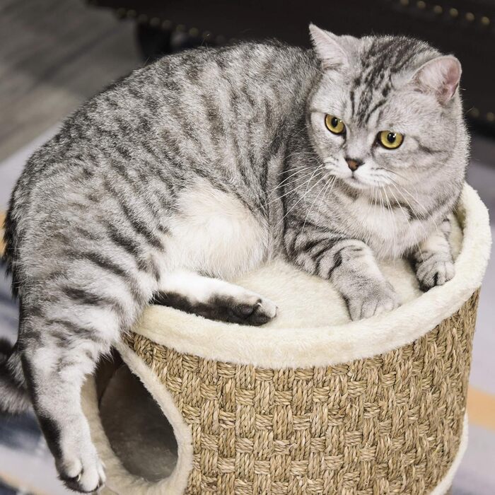 Дряпак PawHut 70 см, котячий комплекс із сизалю та плюшу, 3-рівневий ігровий будиночок для котів