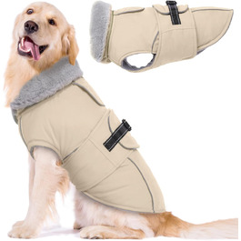 колір: застібка, бежевий