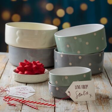 Миска для собак Mason Cash Colour Mix сірого кольору, 20 см, 1 шт.