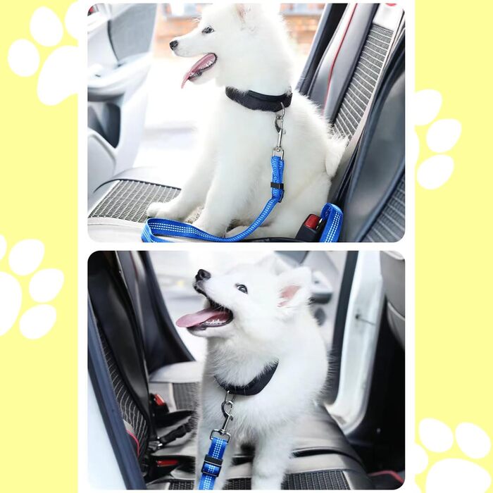Авторемень для собак у машину, еластичний, з подвійним кріпленням, регульований (блакитний)