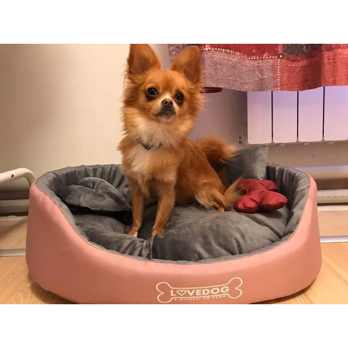 Вольєр для собак Lovedog, багатоколірний, 60 см x 50 см