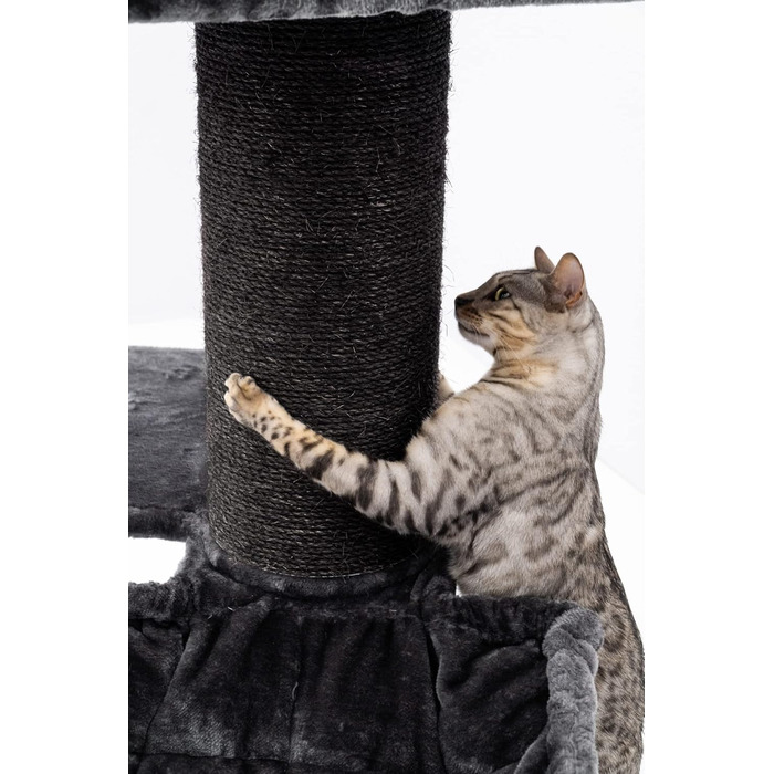Когтеточка для великих котів Petrebels Maine Coon, 117 см, преміум-якість, стовпи Ø20 см, чорна