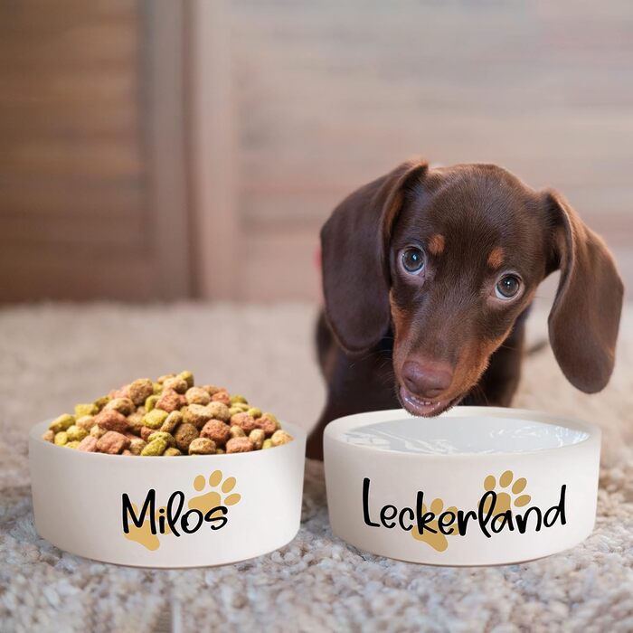 Керамічний подвійний миска з іменем для собак та котів 'Дві маленькі лапки' - персоналізований набір мисок з/без підставки | Миска для собак, годівниця, миска для їжі | Годівниця (2x 500 мл)