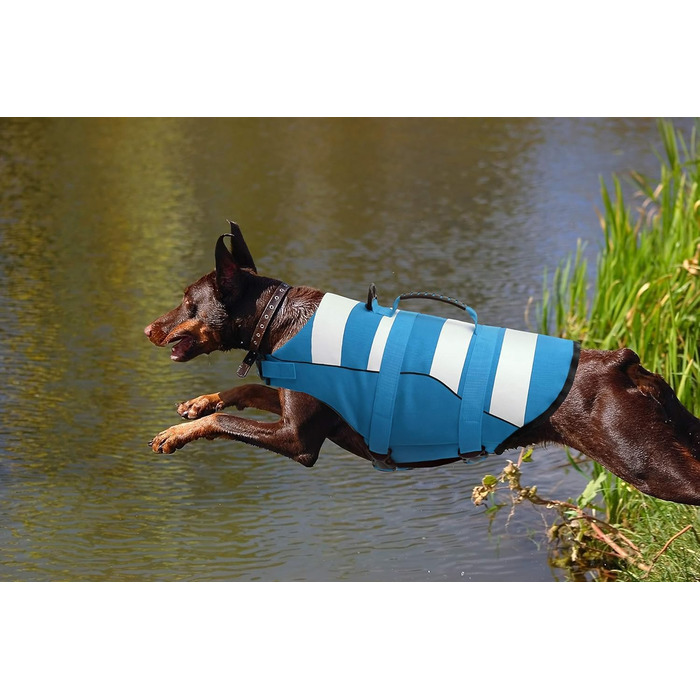 Спасальний жилет для собак, блакитний, розмір S, для джек-рассел, чихуахуа, французький бульдог, лабрадор - ASENKU