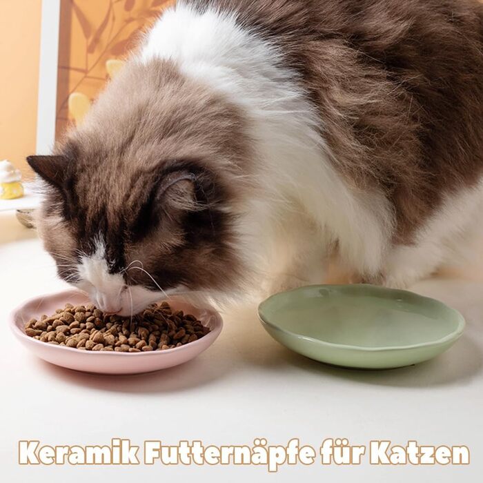 Набір керамічних мисок для котів 6er – годівниця та миска для їжі з неслизьким силіконовим дном | Плоскі, широкі миски для їжі | Непошкоджуючі для вій та придатні для миття в посудомийній машині