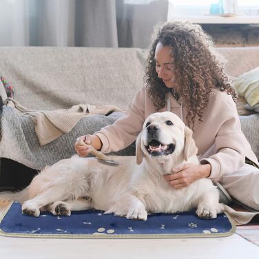Велике собаче ліжко: зручне, безпечне, водонепроникне, миється, блакитне