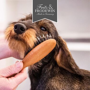Набір щіток для собак Fritz & Frodewin 'Все для такси' | Преміум щітки для догляду за шерстю | Для щоденного догляду | З сертифікованого дерева FSC | З безкоштовним очищувачем | 100% Made in Germany