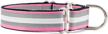 If It Barks Martingale нашийник для собак, нейлоновий, регульований, 2,5 см, малий (28-38 см), вироблено в США, колір Spunky