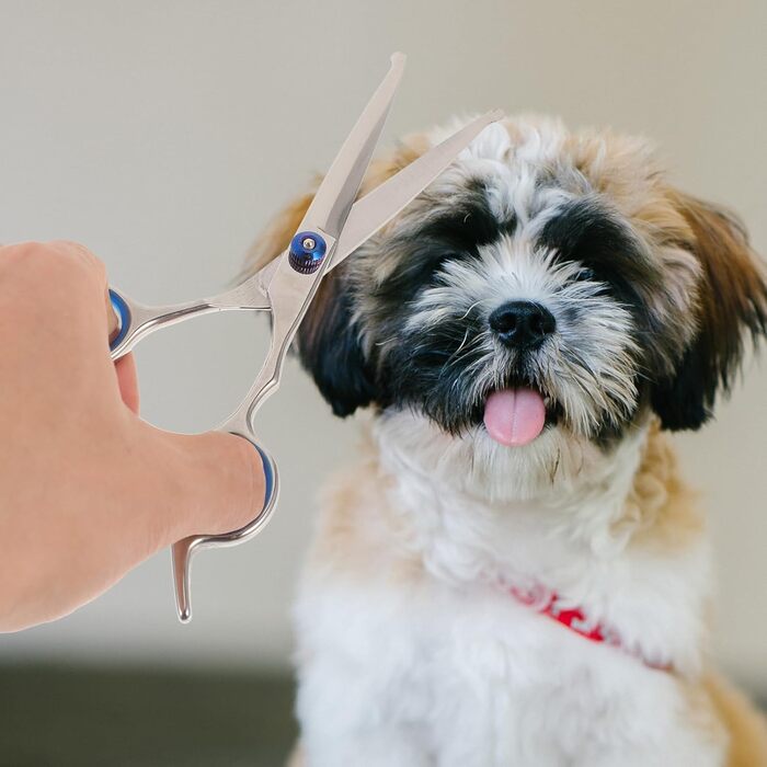 Набір з 2 ножиць для грумінгу тварин з округлою голівкою, нержавіюча сталь, професійний грумінг та домашнє використання, прецизійна заточка, ергономічні ручки