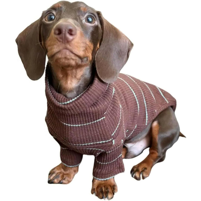Одяг для такси (дворняг): теплий зимовий костюм, піжама, пуловер, боді для цуценят та собак середніх розмірів (колір: коричневий, розмір XS)