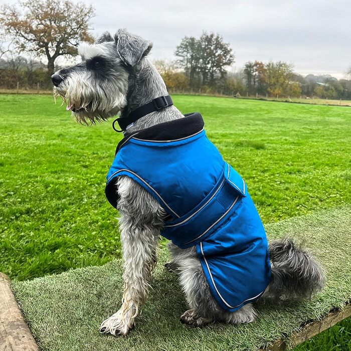 Теплий водонепроникний зимовий одяг для собак Hugglepets Arctic Armour, XS, 30 см, помаранчевий