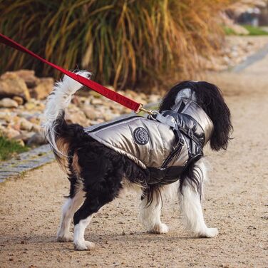 Водонепроникна куртка для собак 2-в-1 зі вбудованим шлейкою – зимова куртка для собак маленьких, середніх та великих порід – вітронепроникна, зручна та легка в догляді, червона, 3XL