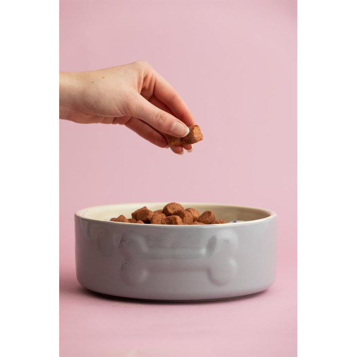 Миска для собак Mason Cash Colour Mix сірого кольору, 20 см, 1 шт.