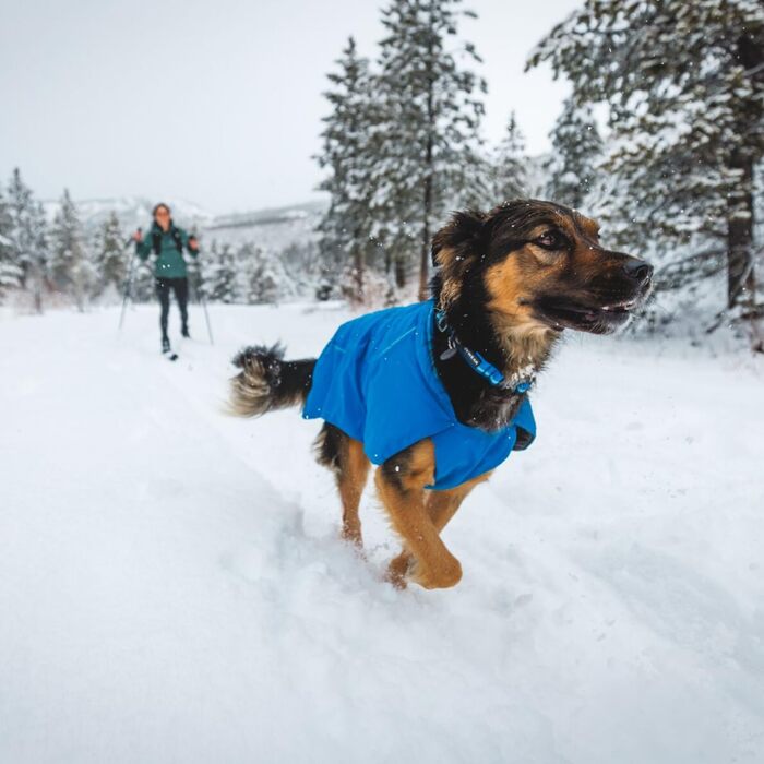 Нашийник для собак RUFFWEAR Top Rope, міцний нейлоновий, розмір M (36–51 см), колір Basaltgrau (Blue Pool), для прогулянок
