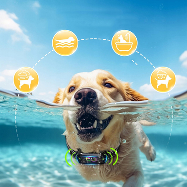 Корекційний нашийник для собак — електричний тренувальний нашийник для дисципліни та заспокоєння