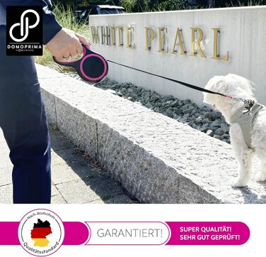 Нашийник для собак DOMOPRIMA: міцний, безпечний, 3 розміри (S, M), 4 кольори (сірий, блакитний, зелений, рожевий)