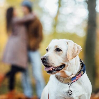 Тактичний нашийник для собак OEBEESA, регульований нейлоновий військовий K9 нашийник з ручкою, металевою пряжкою, 3 патчами та тримачем для Airtag, для середніх і великих порід, камуфляж