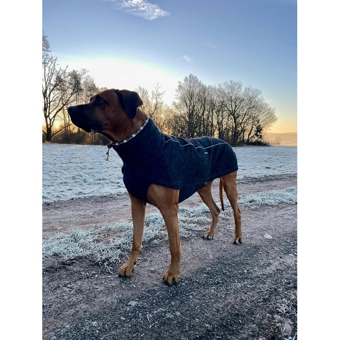 Теплий зимовий одяг для собак EDEL&SCHNELL: вовняна куртка з довгим коміром та світловідбиваючими елементами (65-70 см)