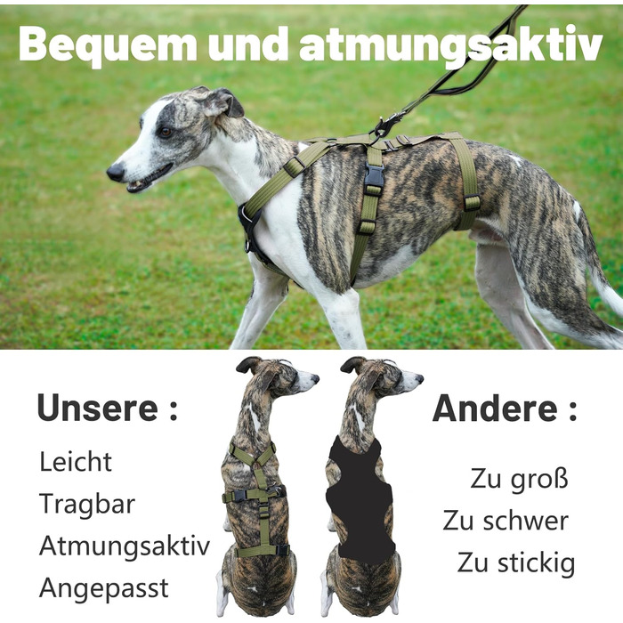 Шлейка для собак Paworld, анти-тяга, шлейка від паніки, анти-вислизання, регульована, дихаюча жилетка для собак маленьких, середніх та великих розмірів (XL) Extra Large (упаковка 1), колір: зелений